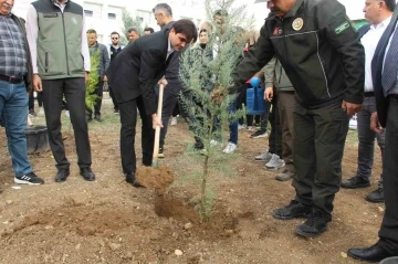 Şırnak’ta 250 bin fidan toprakla buluşacak
