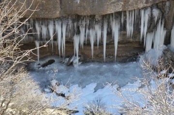 Şırnak’ta dağlar buz tuttu
