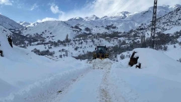 Şırnak’ta kapalı köy yolları açıldı
