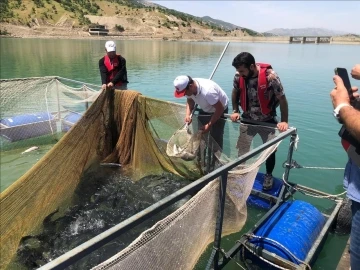 Şırnak Üniversitesi proje kapsamında 25,5 ton balık üretimi yaptı
