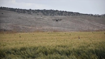 Şırnaklı çiftçiler ZİHA ile yapılan ilaçlamayla tasarruf sağlıyor