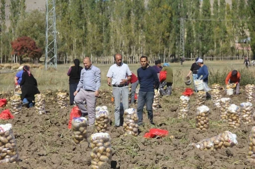 Sivaslı patates üreticisi aracıları ortadan kaldırdı, kendi üretip kendi satıyor
