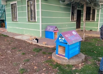 Siverek’te sokak hayvanları için kulübeler yapıldı
