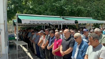 Son bir ayda yaşanan servis kazalarında 8 kişi öldü 49 kişi yaralandı
