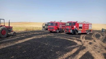 Sorgun’da 200 dekar ekili tarım arazisi küle döndü