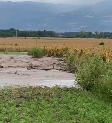 Su kanalı patladı, tarım arazileri su altında kaldı
