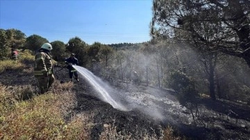 Sultangazi'de ormanlık alanda çıkan yangın söndürüldü