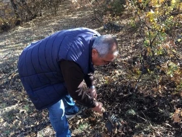 Süne ile mücadele çalışması kışında sürüyor
