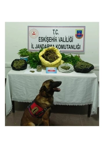 Şüpheli şahsın evinde 223 kök kenevir ve 1 kilo 895 gram kubar esrar ele geçirildi
