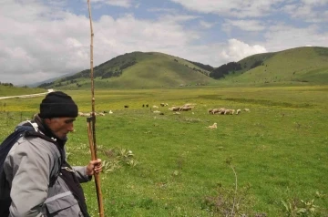 Sürünün peşinde 40 yıl geçirdi: Her gün kilometrelerce yol kat ediyor
