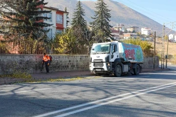 Talas Genelinde Sonbahar Temizliği
