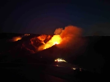 Tarihi Alan’daki orman yangını dron ile görüntülendi
