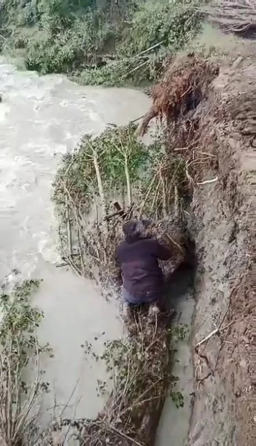 Tarım arazilerini selden korumak için barajı tıkayan ağaçları temizlediler
