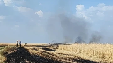 Tarım arazisinde çıkan yangın büyümeden söndürüldü
