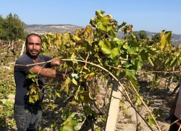 Tarım işçileri araç içerisinde yarı çıplak ceset buldu
