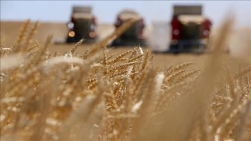 Tarımsal girdi fiyat endeksi temmuzda aylık bazda yüzde 6,56, yıllık yüzde 34,32 arttı