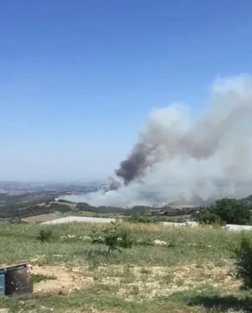Tarsus’ta çıkan orman yangını kontrol altına alındı

