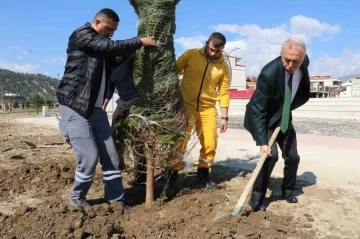 Taşova Millet Bahçesi’ne 3 bin 500 fidan
