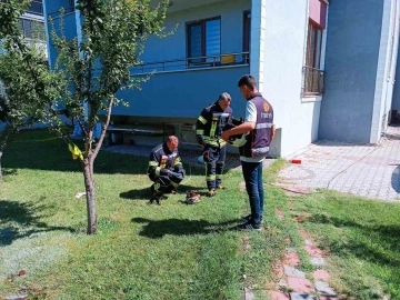 Tavşanlı’da alev alan mutfak tüpü paniğe sebep oldu
