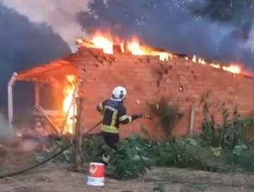 Tavşanlı’da odunluk yangını
