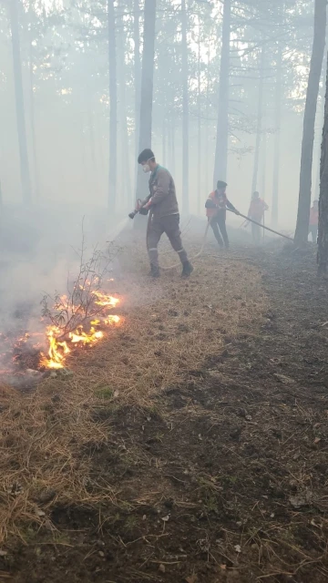 Tavşanlı’daki orman yangını kısa sürede söndürüldü
