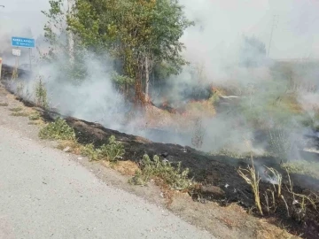 Tekirdağ’da ağaçlık alan kül oldu