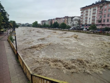 Terme Çayı’nda korkutan görüntü
