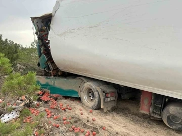 Tırla kamyonetin çarpıştığı kazada 2 kişi yaralandı
