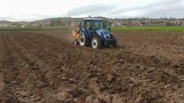 Tohumluk patatesler toprakla buluştu
