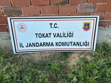 Tokat’ta 188 kök kenevir ele geçirildi
