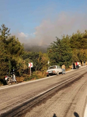 Tokat’taki orman yangını ekipleri harekete geçirdi