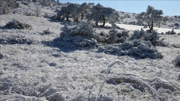 Tokat'ta yüksek kesimlerde kar kalınlığı 20 santimetreye ulaştı