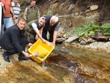 Trabzon’da 5 bin kırmızı benekli doğal alabalık yavrusu bırakıldı
