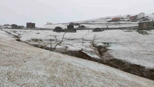 Trabzon yaylalarına mevsimin ilk karı düştü
