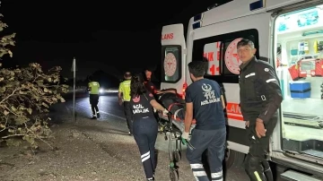 Trafik tabelasına çarpan motosiklet fındık bahçesine uçtu: 1 yaralı