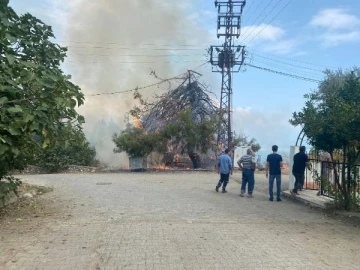 Trafo patladı, ağaç ve otluk alan alev aldı