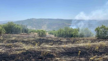 Tunceli’de 3 ayrı bölgede çıkan yangınlardan 2’si söndürüldü, 1’ine müdahale sürüyor