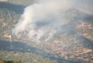 Tunceli’de çıkan orman yangını kontrol altına alındı