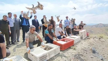 Tunceli’de doğaya 600 keklik salındı
