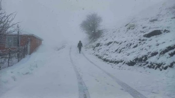 Tunceli’nin yüksek kesimlerinde kar yağışı etkili olmaya başladı
