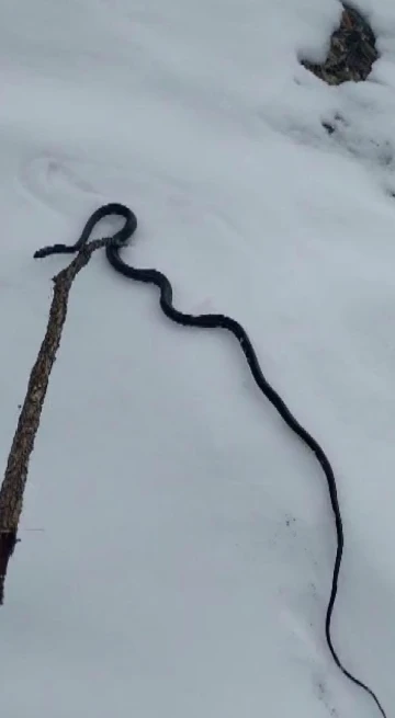 Tunceli’yi tedirgin eden görüntü
