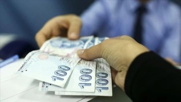 Türkiye Aile Destek Programı kapsamında ağustosta 4,37 milyar lira ödendi