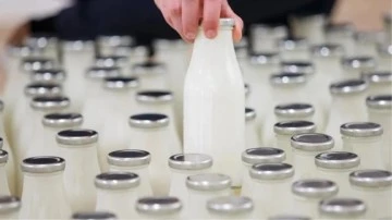 Türkiye'nin önemli süt markası iflas etti