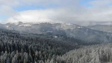 Türkülere konu olan Ilgaz Dağı beyaza büründü
