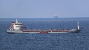 Ukrayna tahıl denetimleri, Polonya sınırından Litvanya'ya taşındı