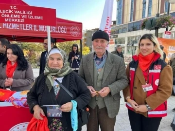 Ulu çınarlar &quot;Kadına şiddete sıfır tolerans&quot; dedi
