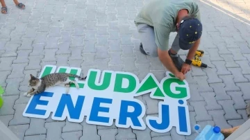 Uludağ Enerji, Hatay kampüsünde sokak hayvanlarını unutmadı