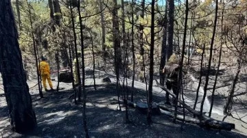 Uludağ'ın güney yamaçlarında başlayan yangın kontrol altına alındı