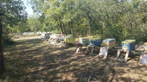 Üniversitenin zarar gören arı kovanları üretici desteğiyle yenilendi