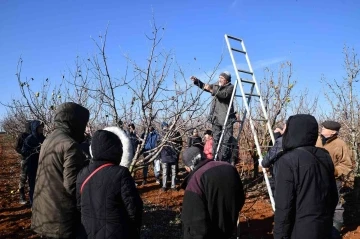 Üreticilere budama eğitimi verildi
